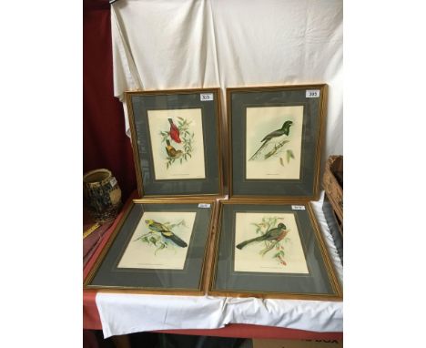  Sale Item:    SET 4 BIRD PRINTS   Vat Status:   No Vat   Buyers Premium:  This lot is subject to a Buyers Premium of 15% + V