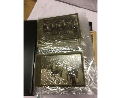  Sale Item:    ALBUM HORSE PHOTOS POSTCARDS ETC   Vat Status:   No Vat   Buyers Premium:  This lot is subject to a Buyers Pre