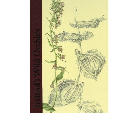 Signed Limited EditionSex (Susan) & Seyers (Brendan)  Ireland's Wild Orchids, folio, Belfast (Nicholson & Bass) 2004, Signed 