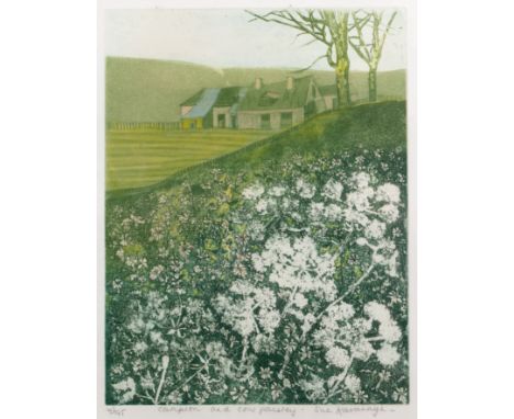 Sue Kavanagh (20th/21st century)'Campion and Cow Parsley', pencil signed, titled and no. 45/75 to the margin, etching in colo