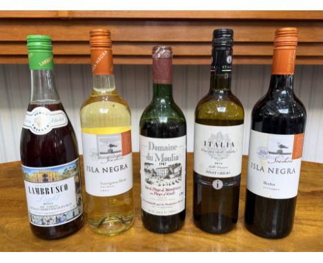 Five Vintage Bottles of Wine, comprising 1987 Domane du Moulin, Lambrusco, Isla Negra Sauvignon Blanc, 2014 Port, Isla Negra 