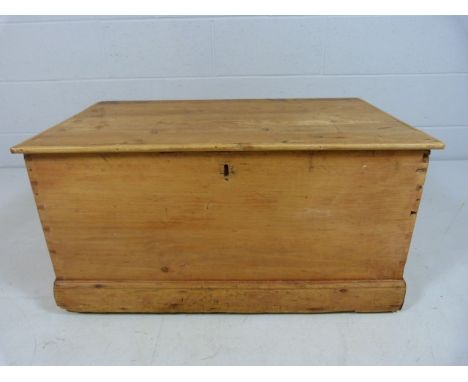 Small pine trunk