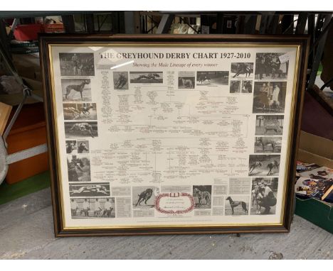 A FRAMED PRINT OF 'THE GREYHOUND DERBY' CHART 1927-2010 SHOWING THE MALE LINESGE OF EVERY WINNER PLUS PICTURES 