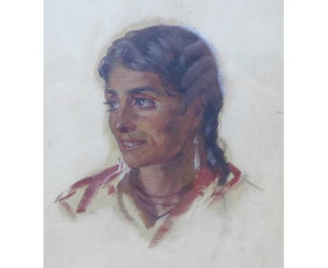 Native American female portrait, oil painting, framed ( 29cm x 21cm )