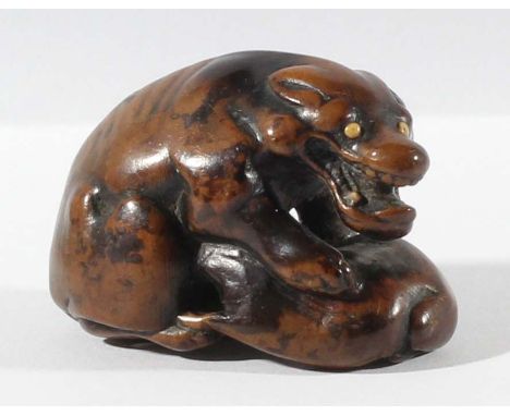 JAPANESE BOXWOOD NETSUKE, carved as a wolf eating its prey, ivory eyes, unsigned, length 4.5cm