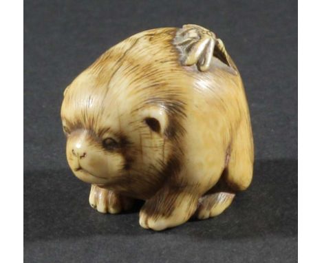 JAPANESE IVORY NETSUKE, circa 1800, carved as a puppy and dragonfly, mother of pearl signature plaque for Gyokumin, length 3.