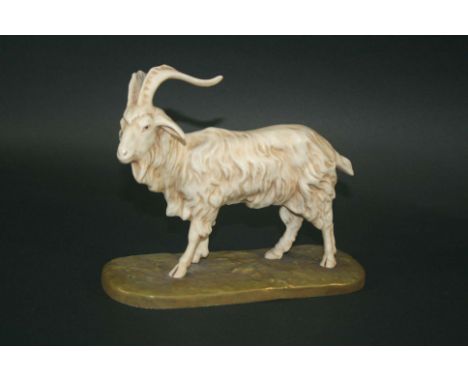 ROYAL DUX GOAT a figure of a Goat in a cream glaze, mounted on a ceramic plinth. Marked, Royal Dux Triangle Mark, 904, 16. 6 