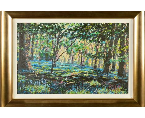 TIMMY MALLETT (BRITISH CONTEMPORARY) 'BLUEBELL SHADOWS', a limited edition print on canvas 72/195, signed verso, framed, appr
