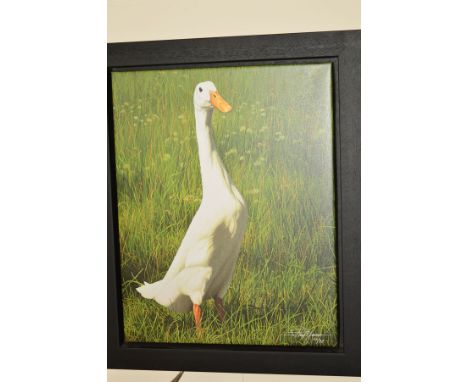 PAUL JAMES (BRITISH CONTEMPORARY) 'DOTTIE', a limited canvas print of a Duck 20/95, signed bottom right, no certificate, fram