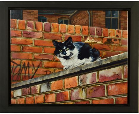 PAUL JAMES (BRITISH CONTEMPORARY) 'TOWNY TOM', a limited edition print on canvas of a cat 8/95, signed bottom right, no certi