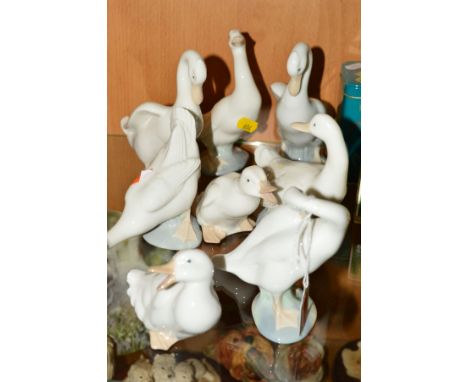 A LLADRO DUCK, together with seven Nao ducks (8)