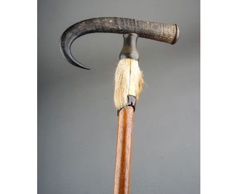 A late 19th century walking stick, curved horn handle, with worn fur mount of hoof form, hickory shaft, spike ferule, length 