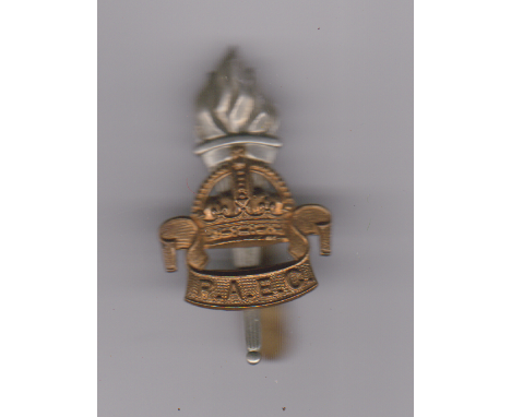 British Army Education Corps cap badge (Bi-metal)