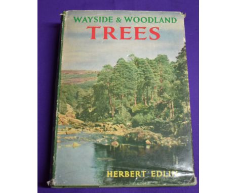 Wayside &amp; Woodland Trees - "A Guide To The British Sylva", hardcover book with dustcover, dustcover has wear &amp; tear a