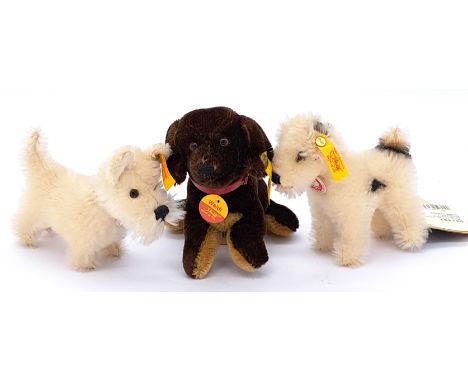 Steiff trio of mohair miniature dogs, including Waldi 031526 (1313/12), Terrier 031397, and West Highland Terrier 035906. Goo