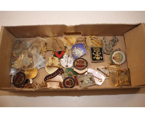 A tray of various enamel badges 