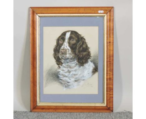 K C Browne, 20th century, a spaniel, signed and dated 1940, oil on paper, 34 x 27cm