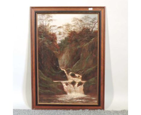 F R Lynn, 19th century, landscape with a gorge, signed, oil on canvas, 60 x 40cm