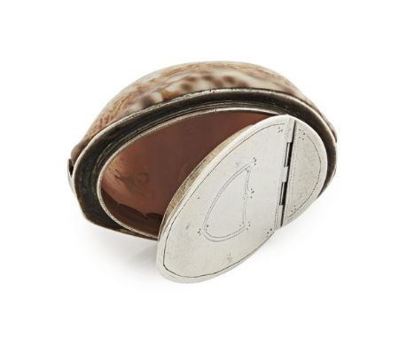 ABERDEEN - A SCOTTISH PROVINCIAL MINIATURE COWRIE SHELL SNUFF BOX  WILLIAM JAMIESON   marked WJ, ABD, the polished shell with