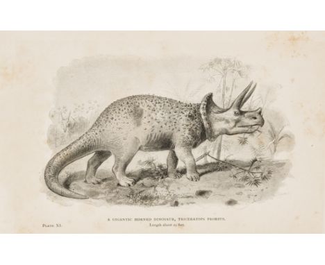 Owen (Richard) A History of British Fossil Mammals, and Birds, 1846 § Hutchinson (Rev. H.N.) Extinct Monsters..., booklabel o