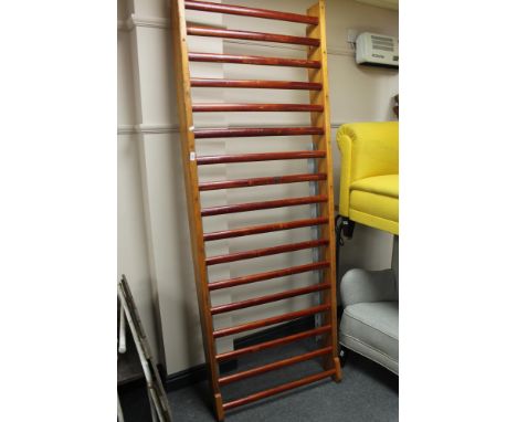 A gymnasium wall ladder
