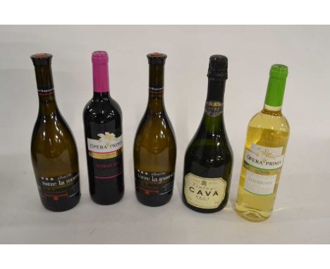 Mixed Spanish Red Wine, White and Cava Sparkling, 5 bottles