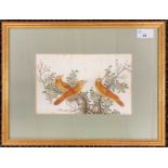 Chinese School, 19th century, watercolour on pith paper, dated on verso c.1845, 22x14cm, framed