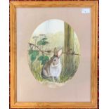 Andrew L. Howes (British, 20th century), Study of a Rabbit, watercolour, signed, 33.5x25cm, framed
