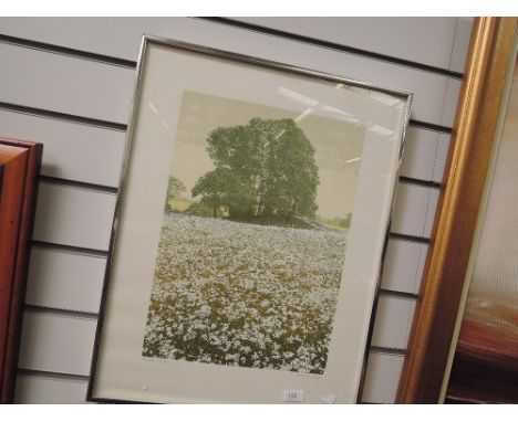 A original screen print titled Meadow prospect after Kenneth Leech 