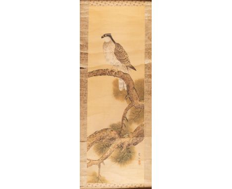 A CHINESE INK AND WATERCOLOUR HANGING-SCROLL OF AN EAGLE, LATE QING DYNASTY, 19TH CENTURY Naturalistically painted on silk, t