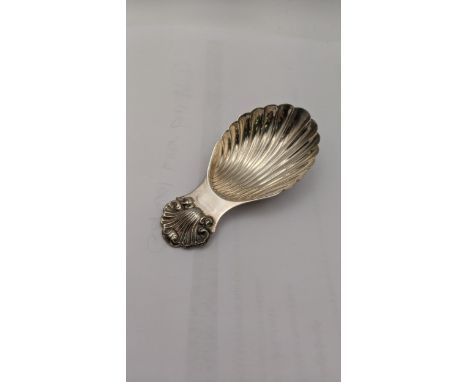 A Broadway and co silver tea caddy spoon fashioned as a seashell hallmarked Birmingham 1997 20.8gLocationIf there is no condi