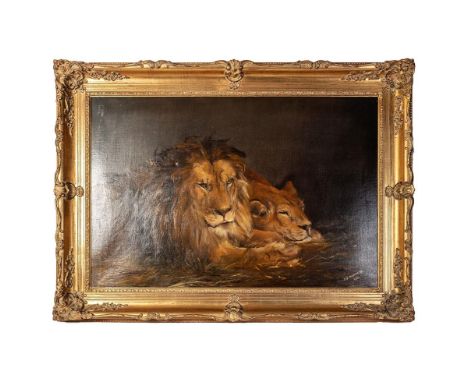 J. Mackereth, after Landseer, 1911. Oil on canvas of Lion and Lioness in gilt frame.  60cm x 90cm  Well executed early 20th c