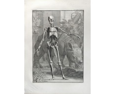 ANATOMICAL ATLASES -- ALBINUS, B.S. Tabulae sceleti et musculorum corporis humani. Leyden, J. &amp; H. Verbeek, 1747/1753. 2 