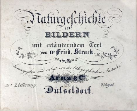 ORNITHOLOGY -- STRACK, F. Naturgeschichte in Bildern mit erläuterndem Text. IIte Lieferung, Vögel. Düsseldorf, (c. 1840). 141
