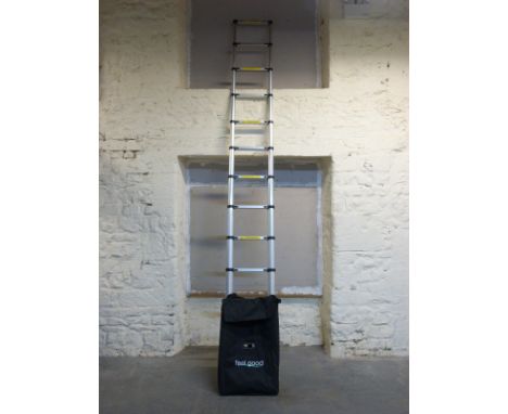A telescopic folding 3.8m ladder in carry bag
