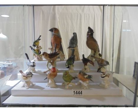 A collection of porcelain birds including thirteen Goebel and one Royal Worcester. 