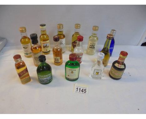 Fifteen spirit miniatures including Whisky, Vodka etc., 
