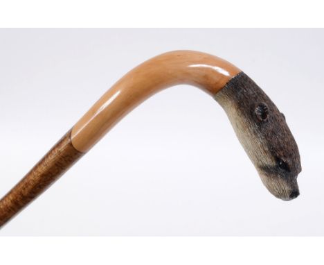 CARVED OTTER WALKING STICK - COLIN CHRISTIAN a tall walking stick, the top section carved in the form of an Otter's head. Mad