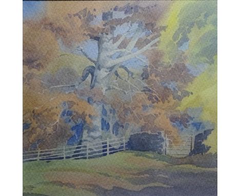'Autumn Beech, Broughton Place', contemporary watercolour signed by Graham Buchanan Dunlop titled verso with Broughton Galler