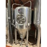 2019 ABS 10 BBL Unitank Fermenter - Cone Bottom, Glycol Jacketed, Mandoor, Zwickle | Rig Fee $650