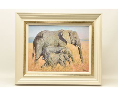 TONY FORREST (BRITISH 1961) 'FAMILY OUTING' an artist proof edition print on board of African Elephants 18/20, signed bottom 