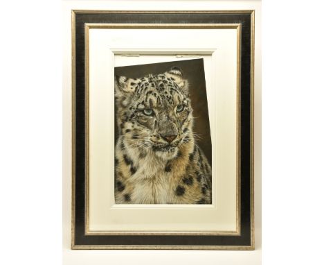 VALERIE SIMMS (BRITISH 1965) 'CONSIDERATION', a portrait of a Snow Leopard, signed bottom right, pastel on paper, approximate