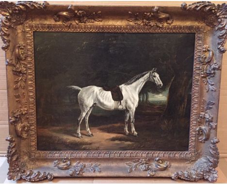 ATTRIBUTED TO JOHN BOULTBEE 1745-1812 Portrait of a saddled white hunter in a woodland Oil on canvas In its original period f