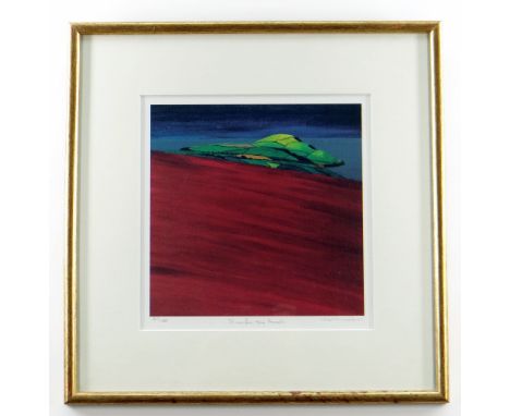 STAN ROSENTHAL limited edition (377/1100) colour print - entitled 'Dinas from Preseli', signed in pencil, 25 x 25cms, framed 
