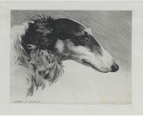 Morgan Dennis (American, 1892-1960)'Zagor of Althea' - Head of a Borzoi signed and editioned in pencil 'MORGAN DENNIS  93/100