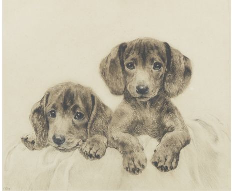 Curt Meyer-Eberhardt (German, 1895-1957)Dachshund puppies signed in pencil (lower right)etchingplate 20 x 24cm (7 7/8 x 9 7/1