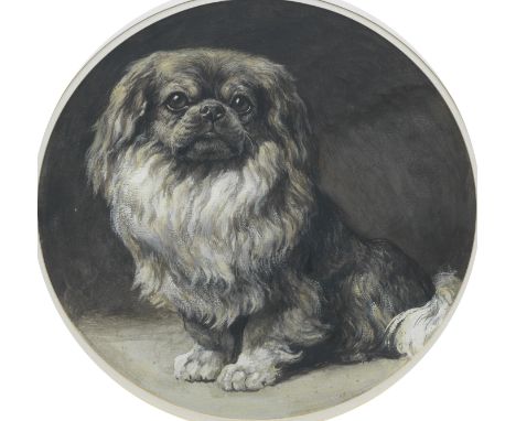 Herbert Thomas Dicksee RE (British, 1862-1942)A Pekingese watercolour and gouachetondo 34.5cm (13 9/16in) acrossFootnotes:The