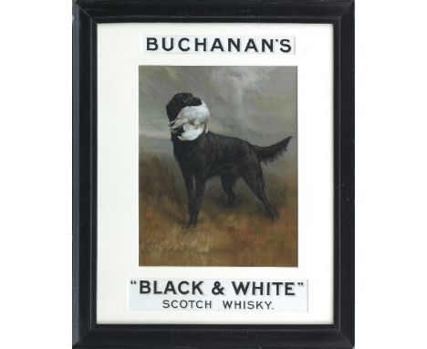 Maud Earl (British, 1863-1943)Buchanan's Whisky advert with a Black Labrador lithographframed 51.5 x 43.5cm (20 1/4 x 17 1/8i