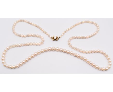 A single strand of cultured pearls, the 14k gold clasp set with a pearl, 53.6g, 90cm