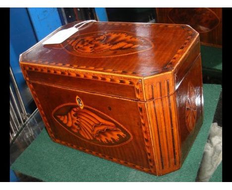 A Georgian inlaid tea caddy - 19cm x 11cm and 12cm high - having oval shell inlay to front and hinged lid CONDITION REPORTas 
